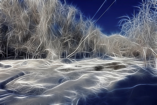 冬雪