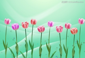 電視墻