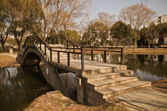 池塘小桥