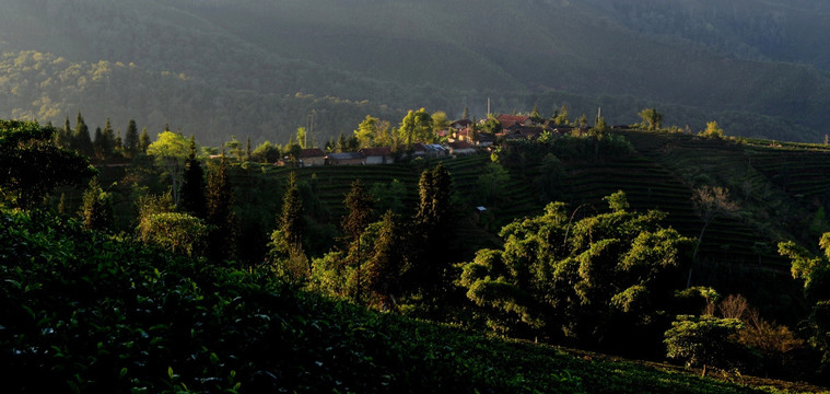 茶山村寨