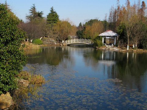 合肥市植物园