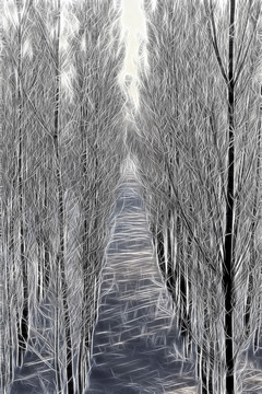 樹林