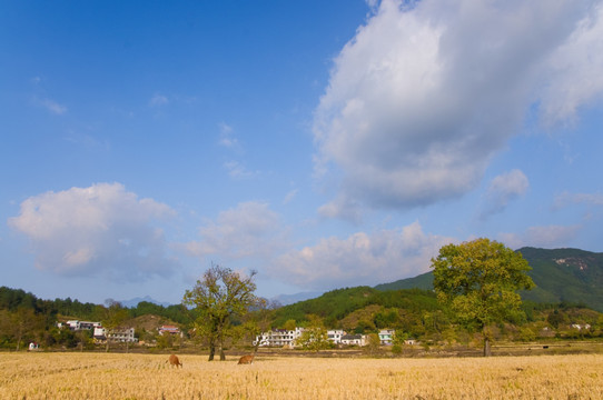 罗田风光