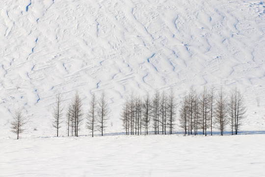 雪景