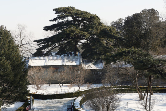 北京戒台寺