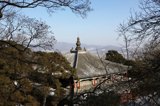 北京戒台寺