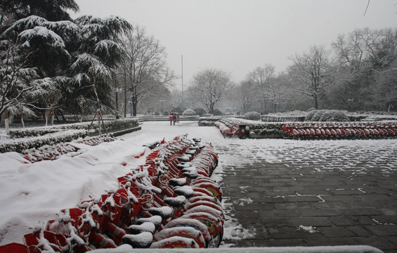 被雪覆盖的自行车