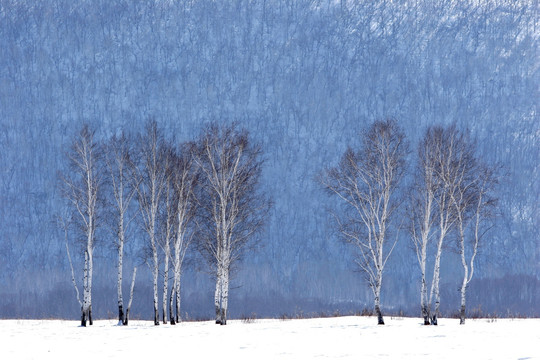 林海雪原