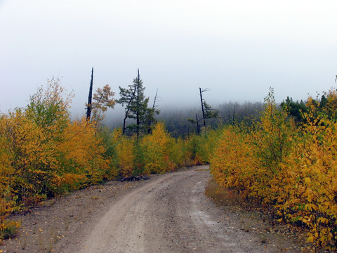 山林公路