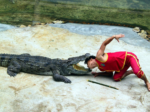 泰国北榄鳄鱼湖动物园