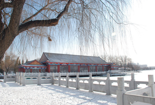 水上雪景