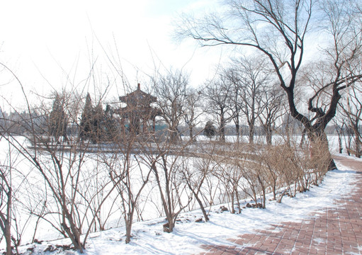 水上雪景