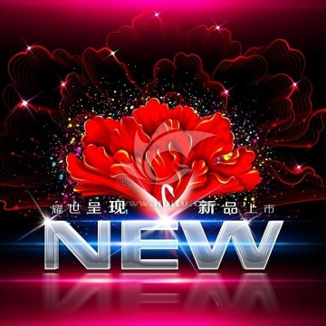 新品上市 NEW 2013