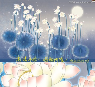 荷花之水月清影