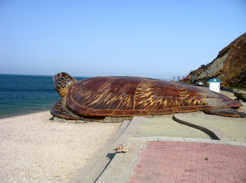 海之韵广场雕塑 乌龟