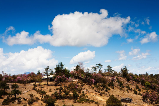 云南老君山