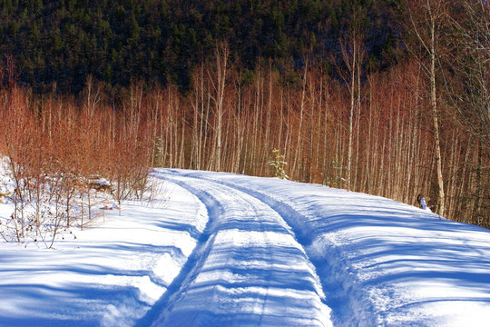 雪路