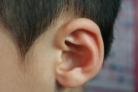 耳朵 小孩耳朵