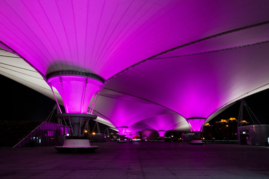 紫色灯伞