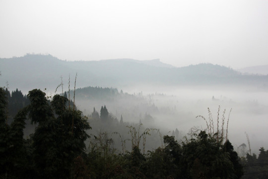 山野晨雾