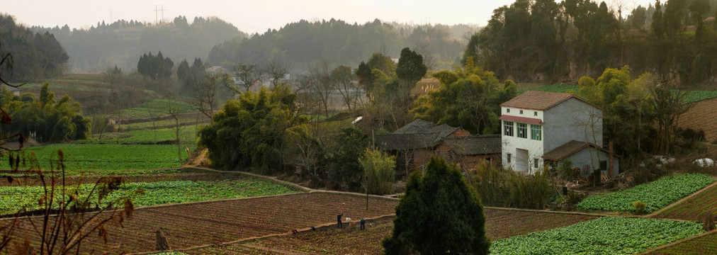 丘陵田园农家全景图