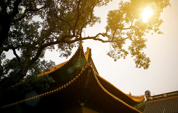 普陀山寺院