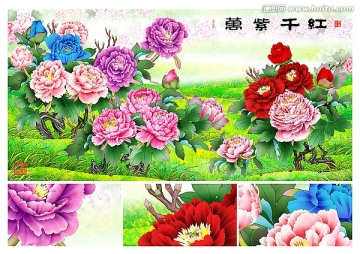 牡丹 萬紫千紅