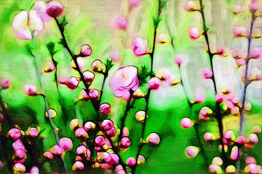 裝飾畫 花卉