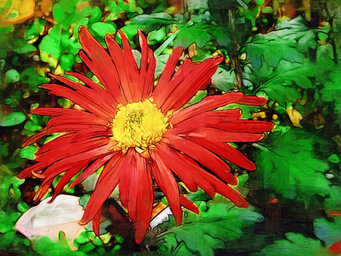 裝飾畫(huà) 花卉