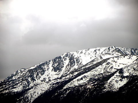 阿尔泰山