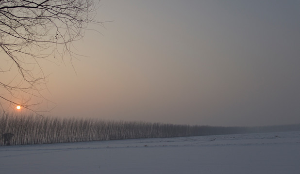 雪景