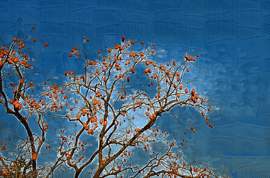 油畫(huà) 無(wú)框畫(huà) 抽象畫(huà)