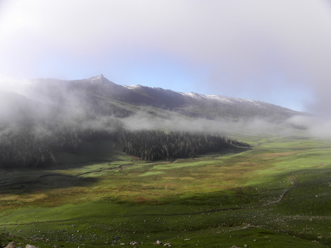 阿尔泰山牧场