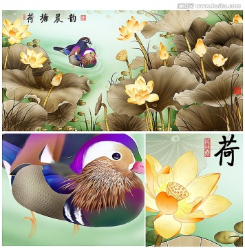 荷花 荷塘晨韻