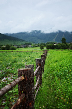 云南 香格里拉 田野 栅栏