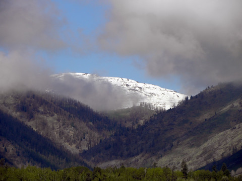 阿尔泰山