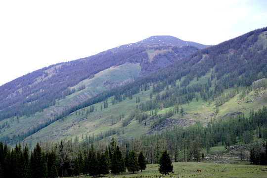 阿尔泰山风光