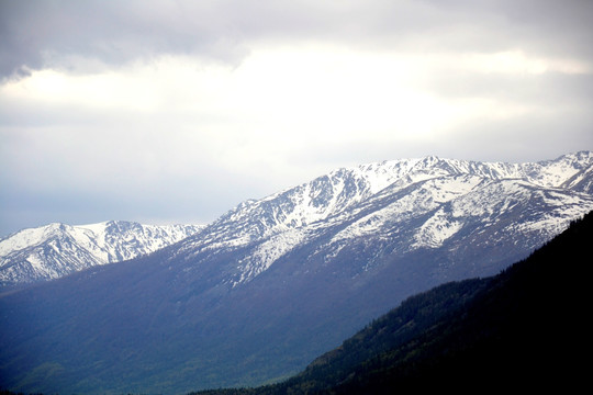 阿尔泰山风光