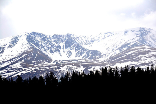 阿尔泰山风光