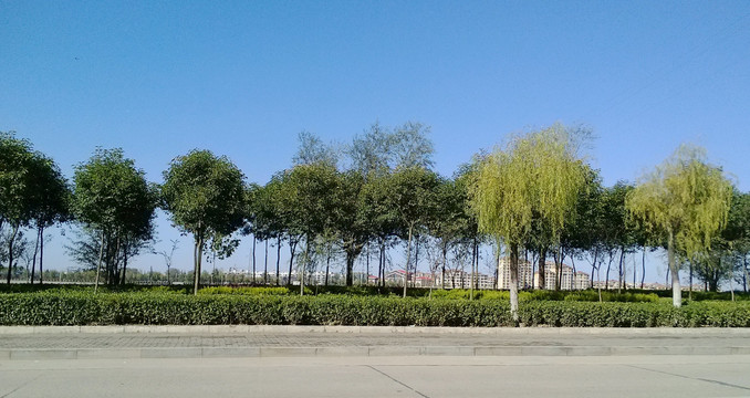 浉河岸邊