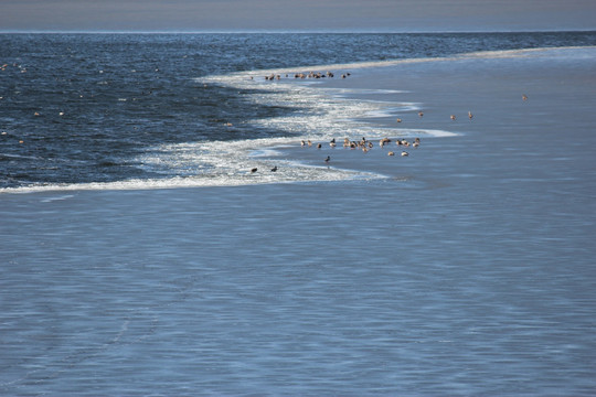 沼泽湿地 湖泊 江河