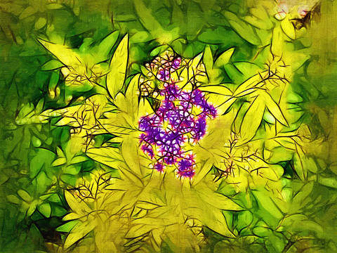 裝飾畫 花卉