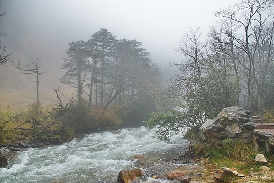 山涧水蒙蒙