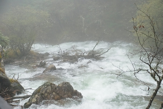 山涧雨蒙蒙