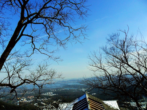 乡村风光