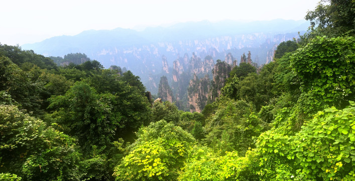 张家界风景