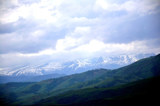 阿尔泰山风光