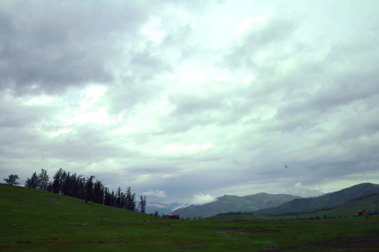 高山牧场