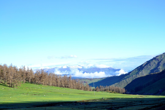 高山牧场