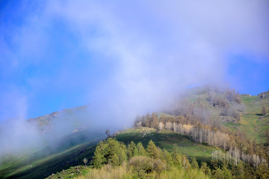 阿尔泰山风光